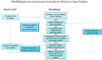 Estimating the Economic Loss Due to <mark class="highlighted">Vibriosis</mark> in Net-Cage Cultured Asian Seabass (Lates calcarifer): Evidence From the East Coast of Peninsular Malaysia